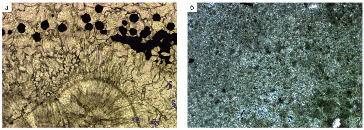 Глобулярный пирит шлиф