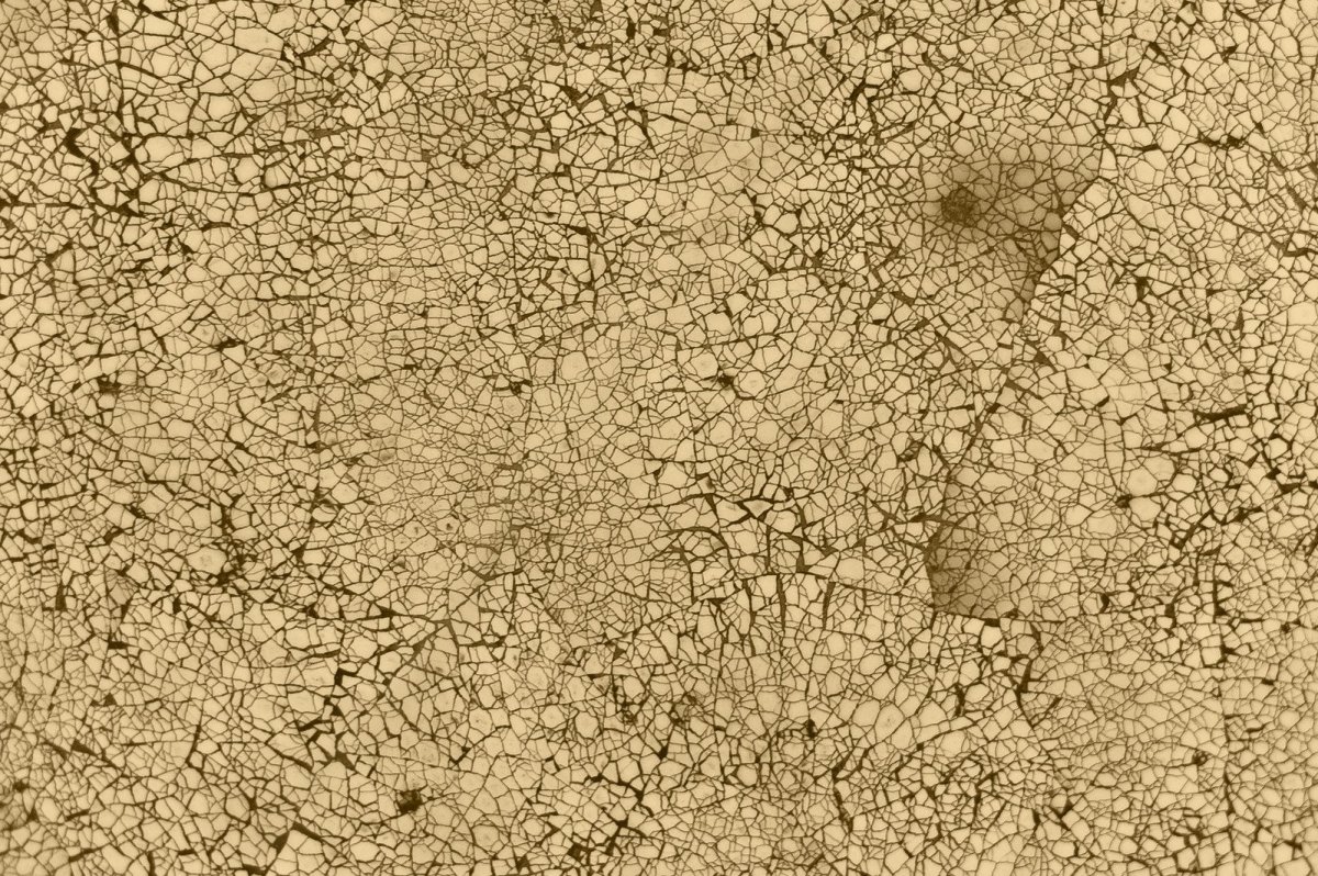 Кракелюры текстура бесшовная