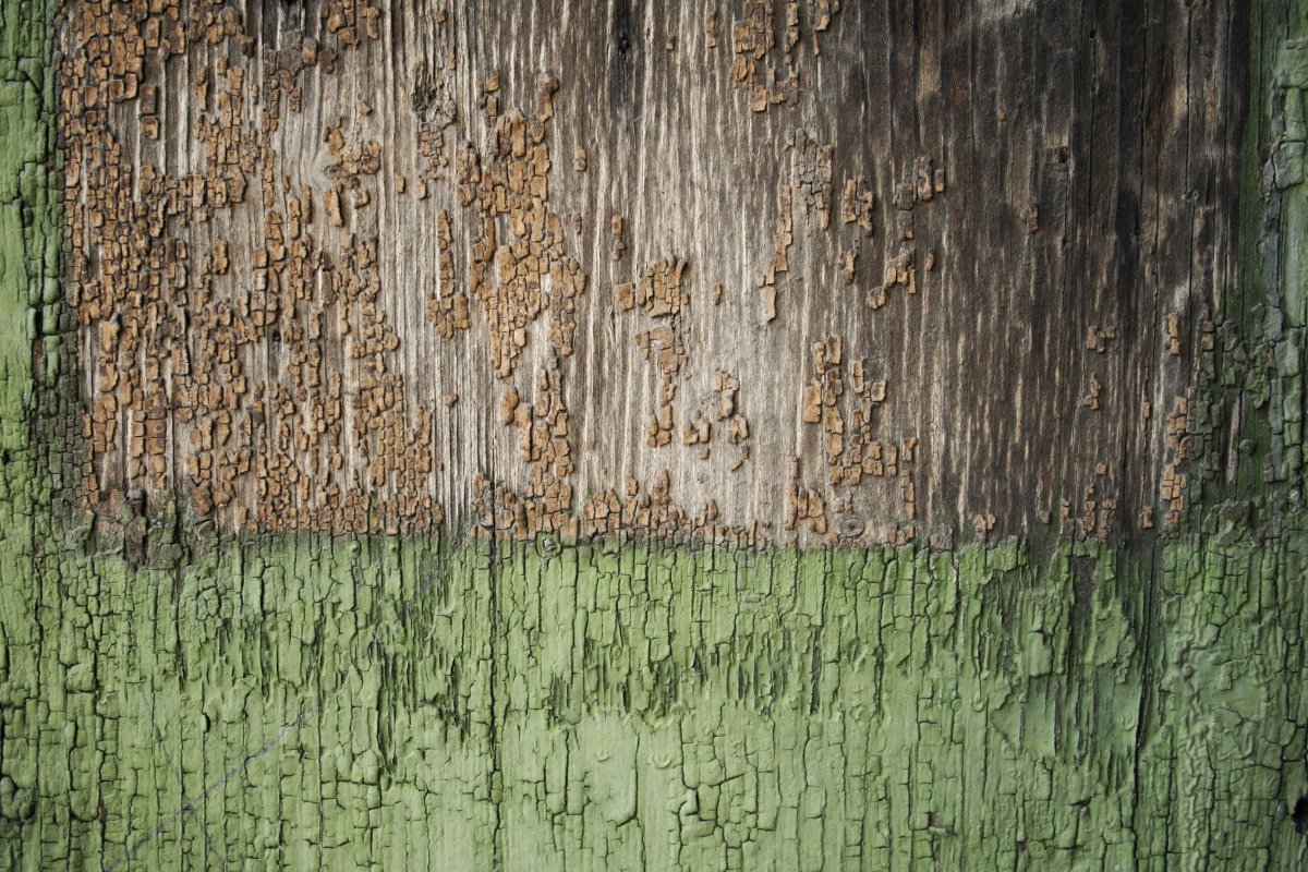 Зеленая штукатурка