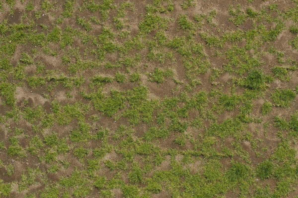 Текстура земли с травой
