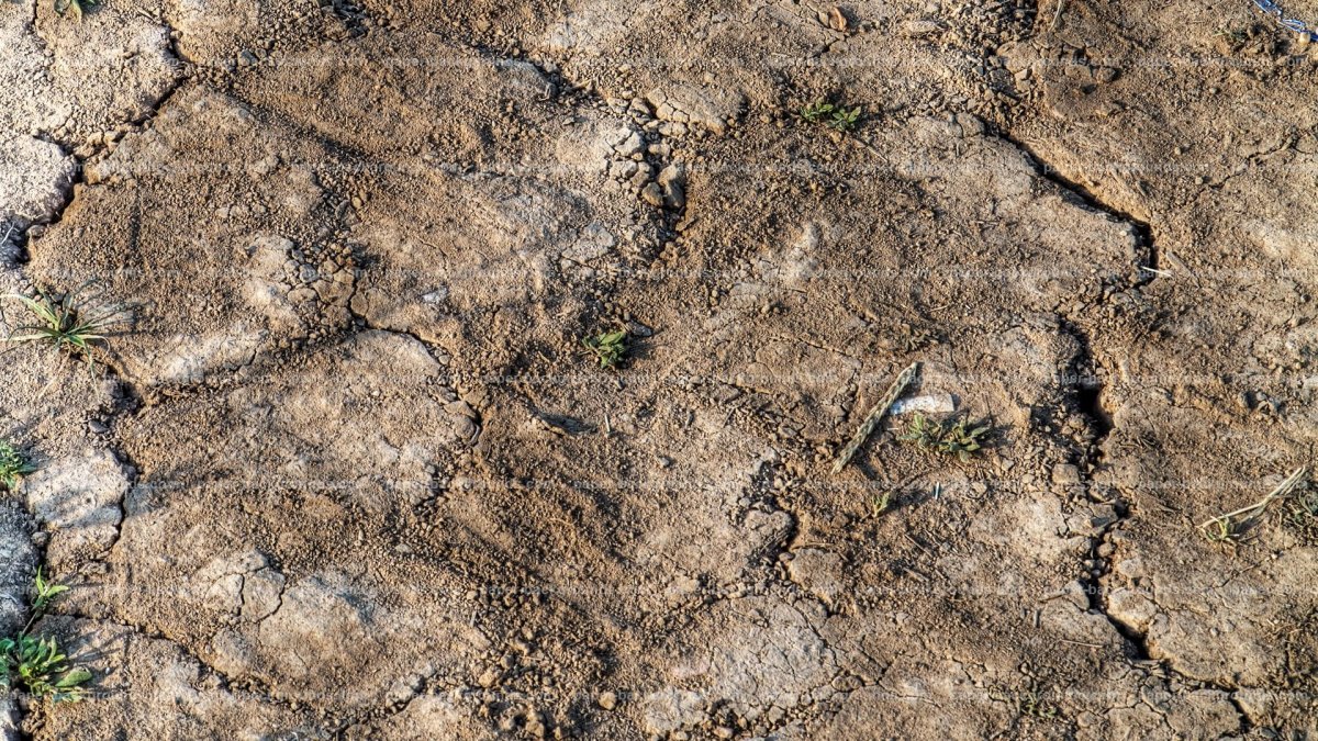 Текстура земли