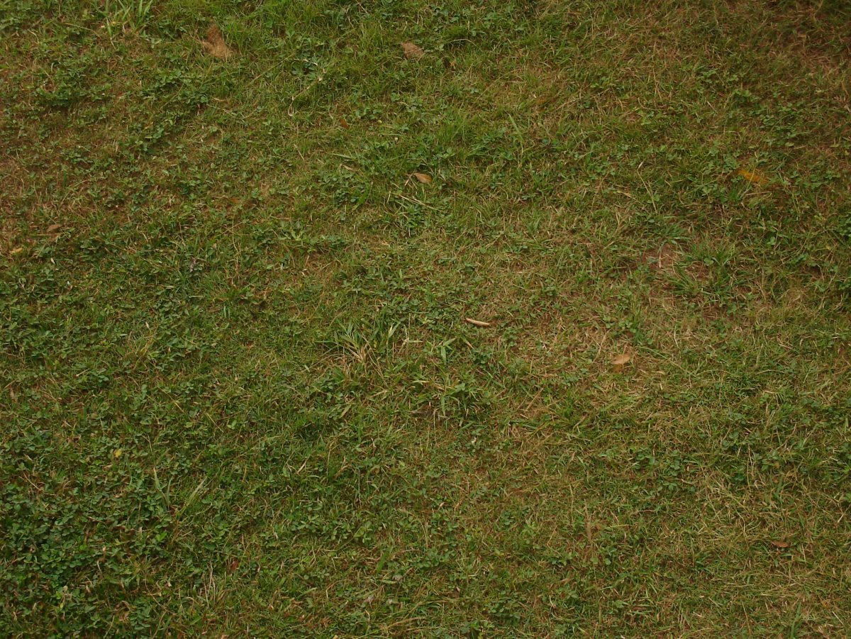 Текстуры земли для unity3d