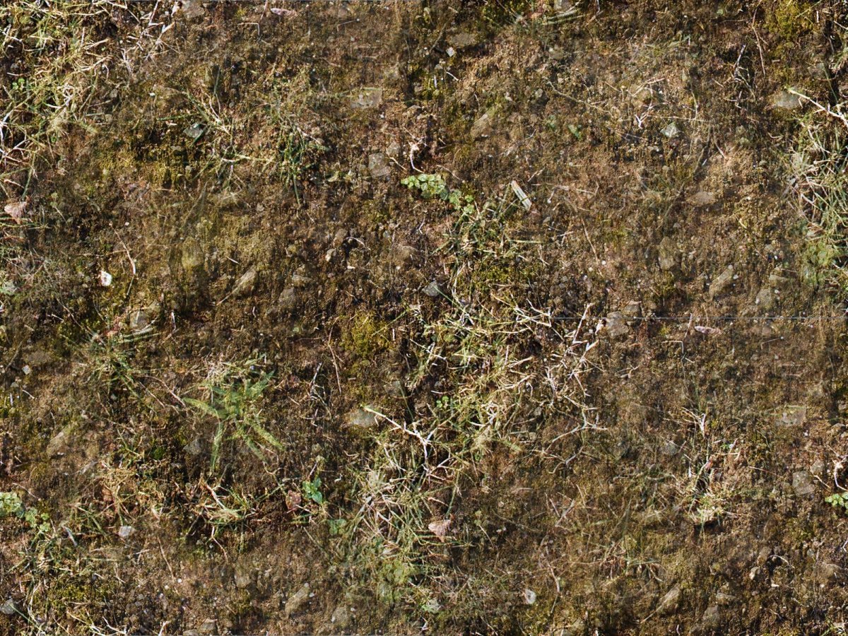 Текстура земли сталкер