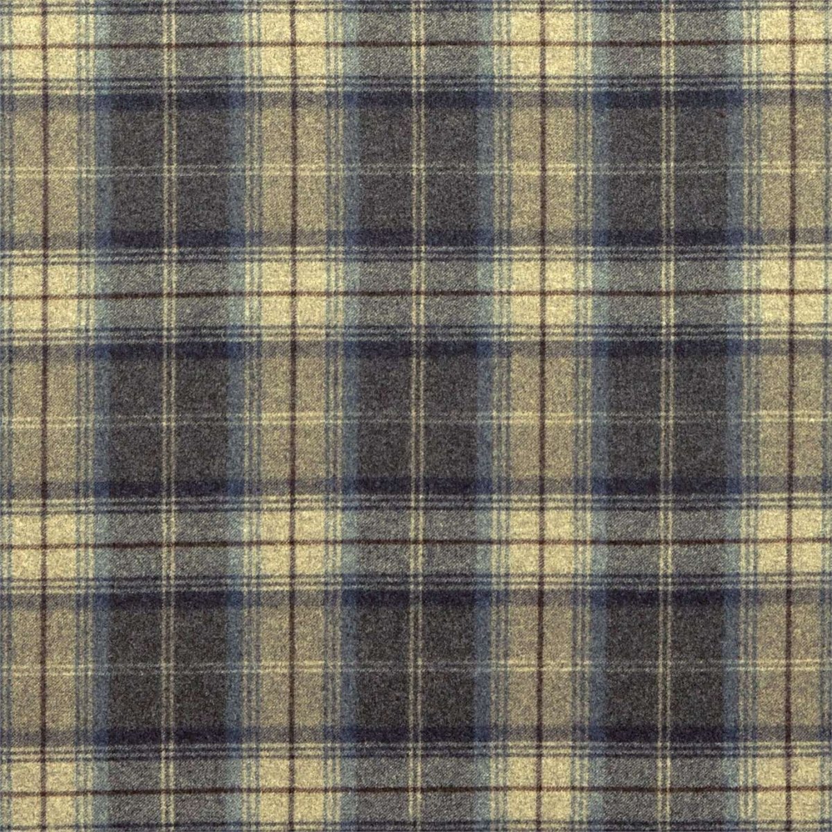 Сандерсон ткань клетка