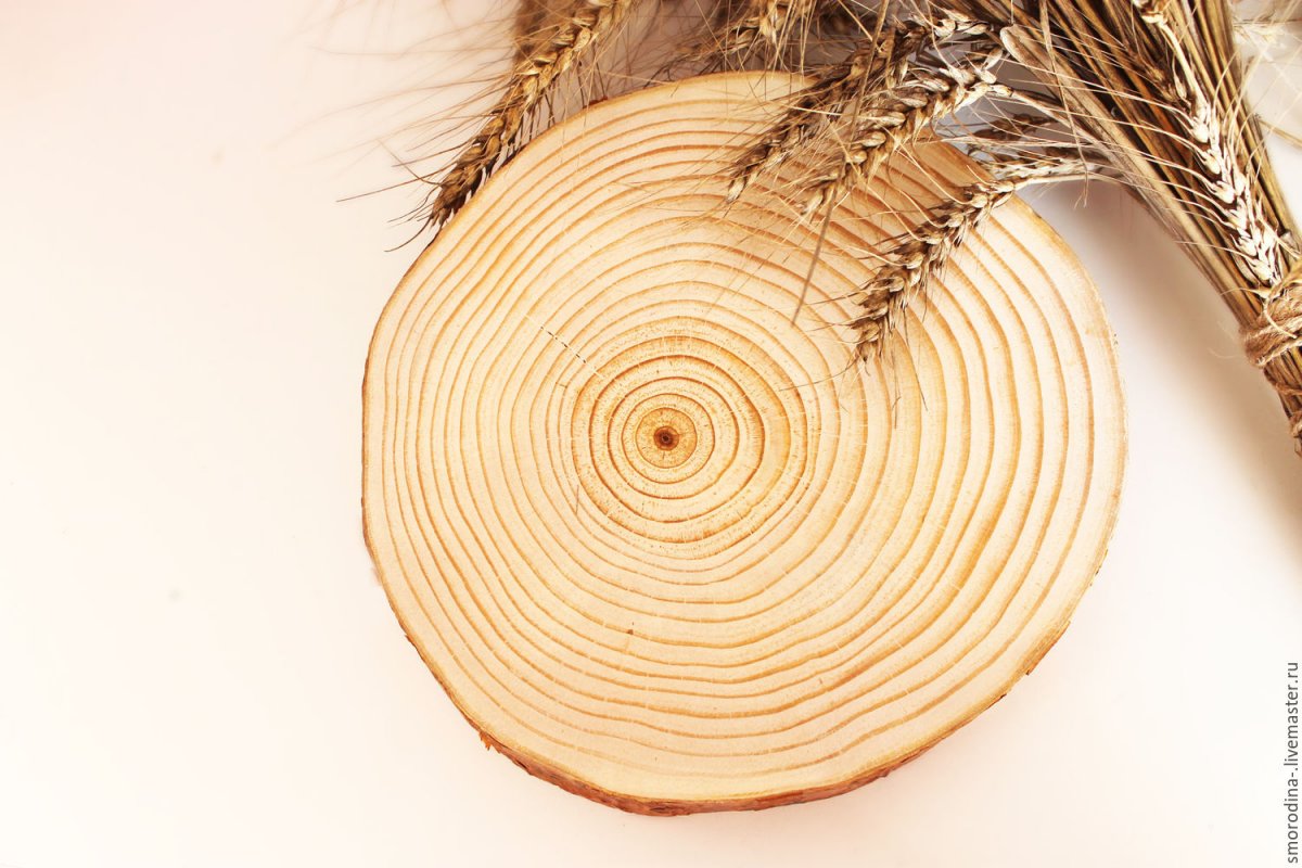 Срез дерева