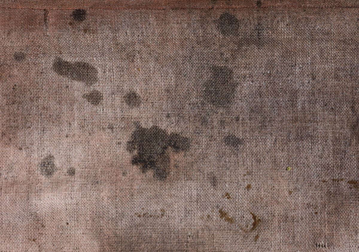 Текстура холста