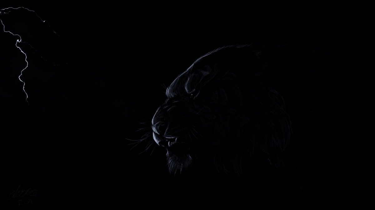 Лев на черном фоне