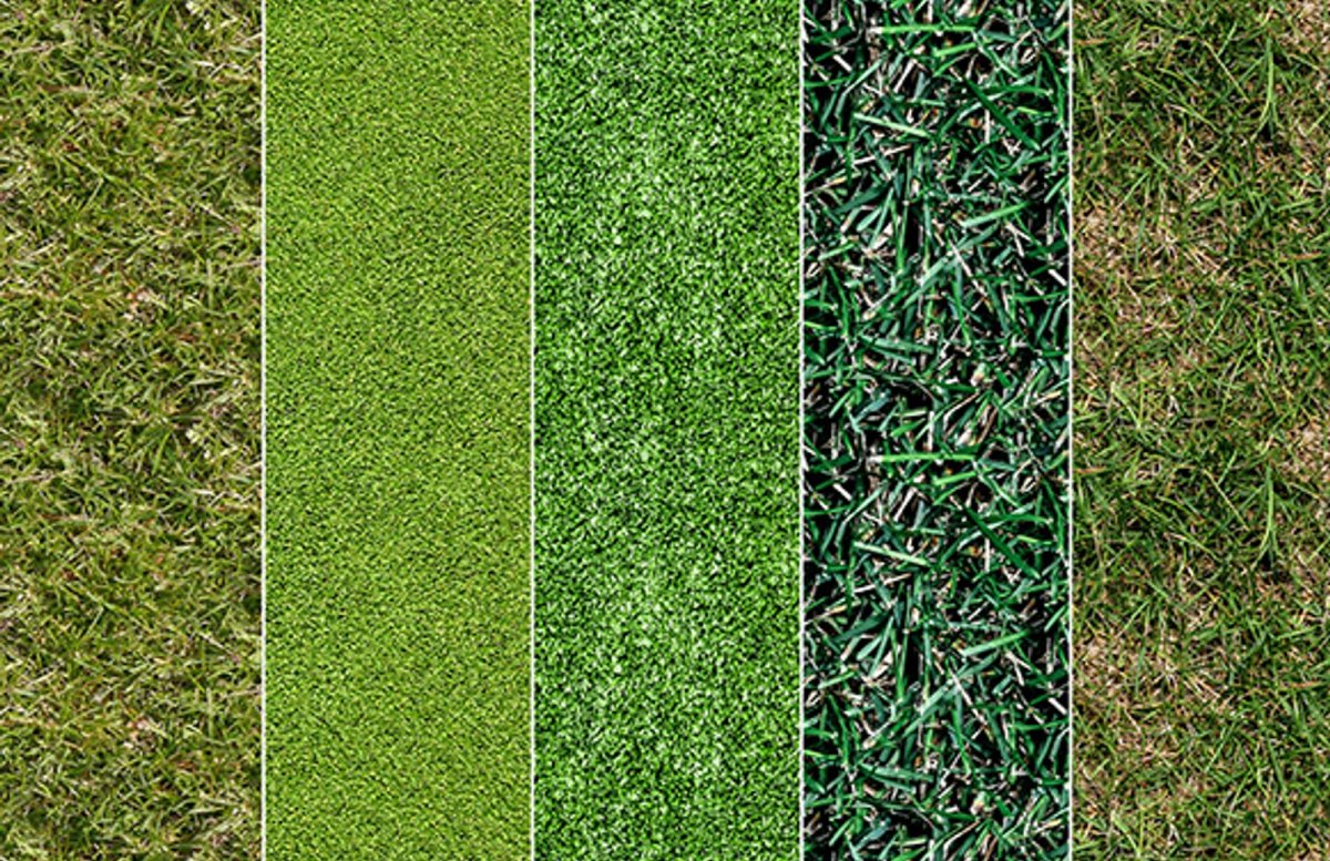 текстура травы из гта 5 фото 45