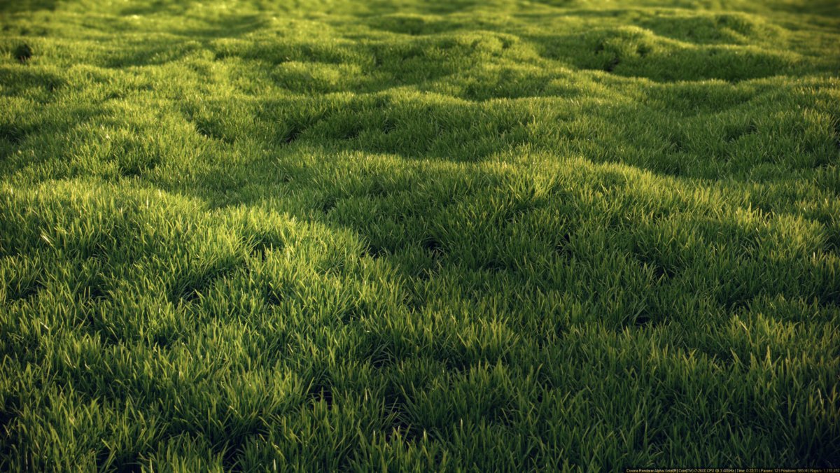 3ds Max газон hq grass