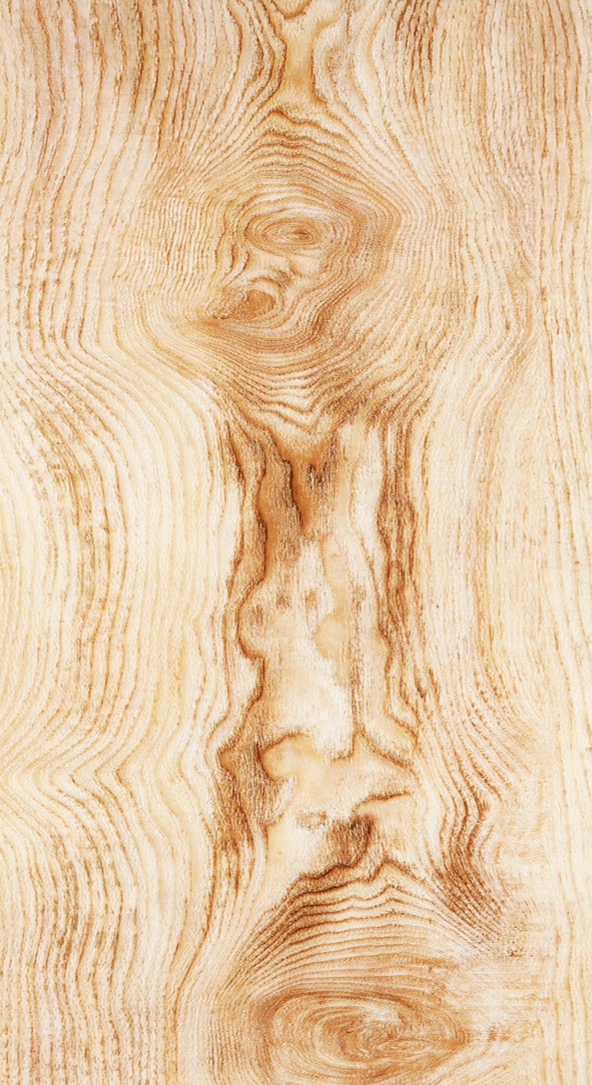 Береза текстура древесины - 60 фото