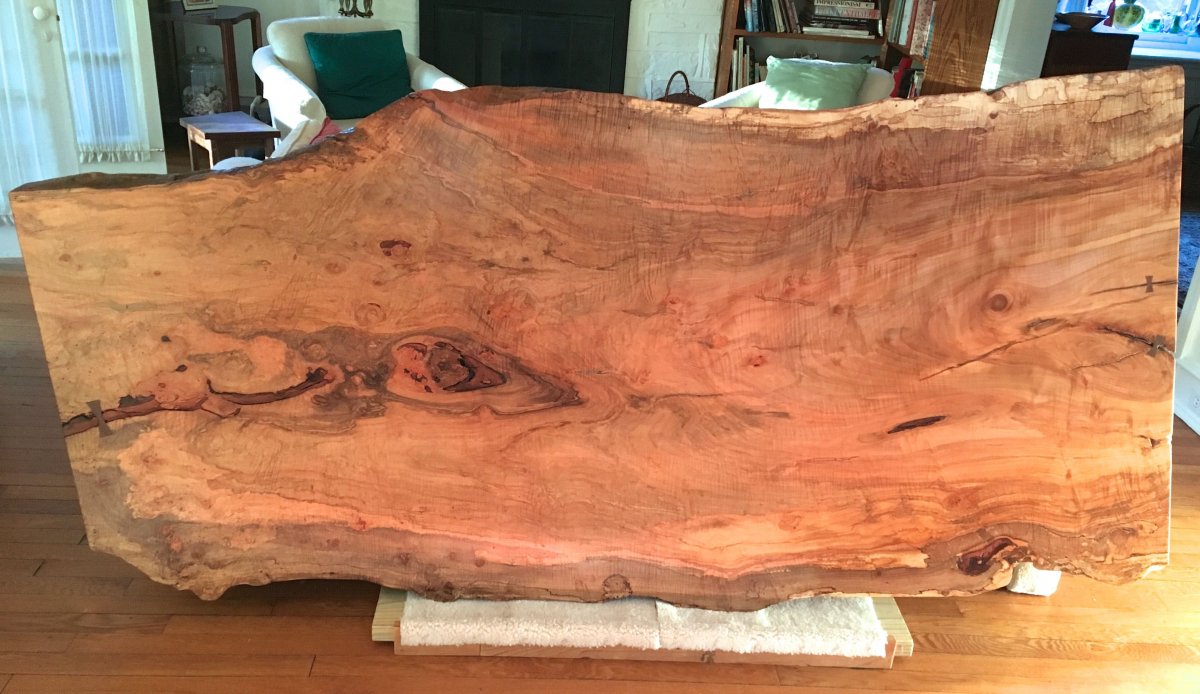 Дерево красивая текстура слэб