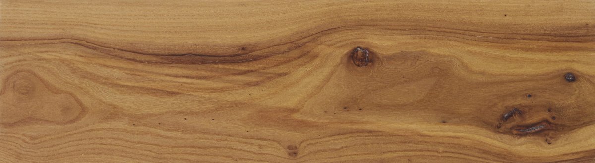 Карагач фактура древесины