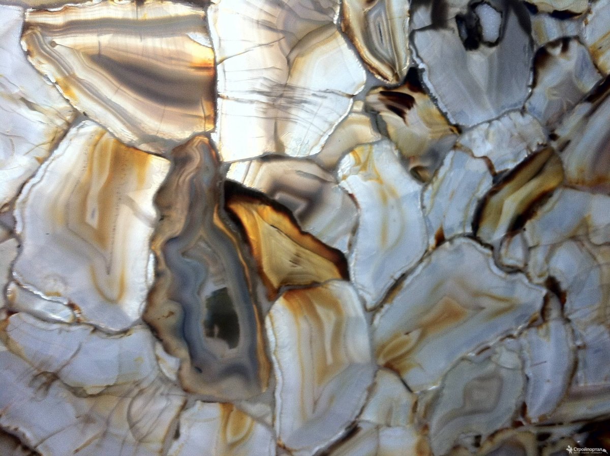 Слэб дерева