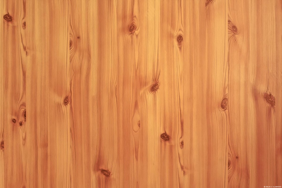 Фактура дерева сосна