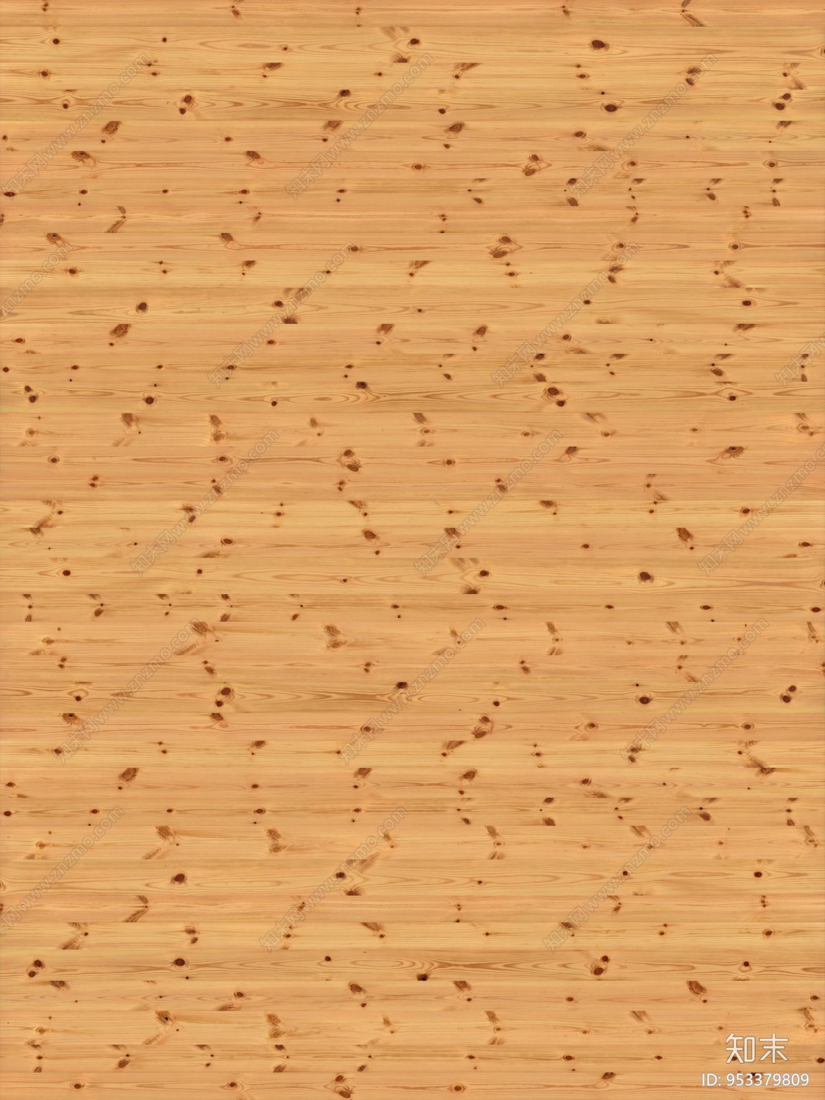 Сосна текстура