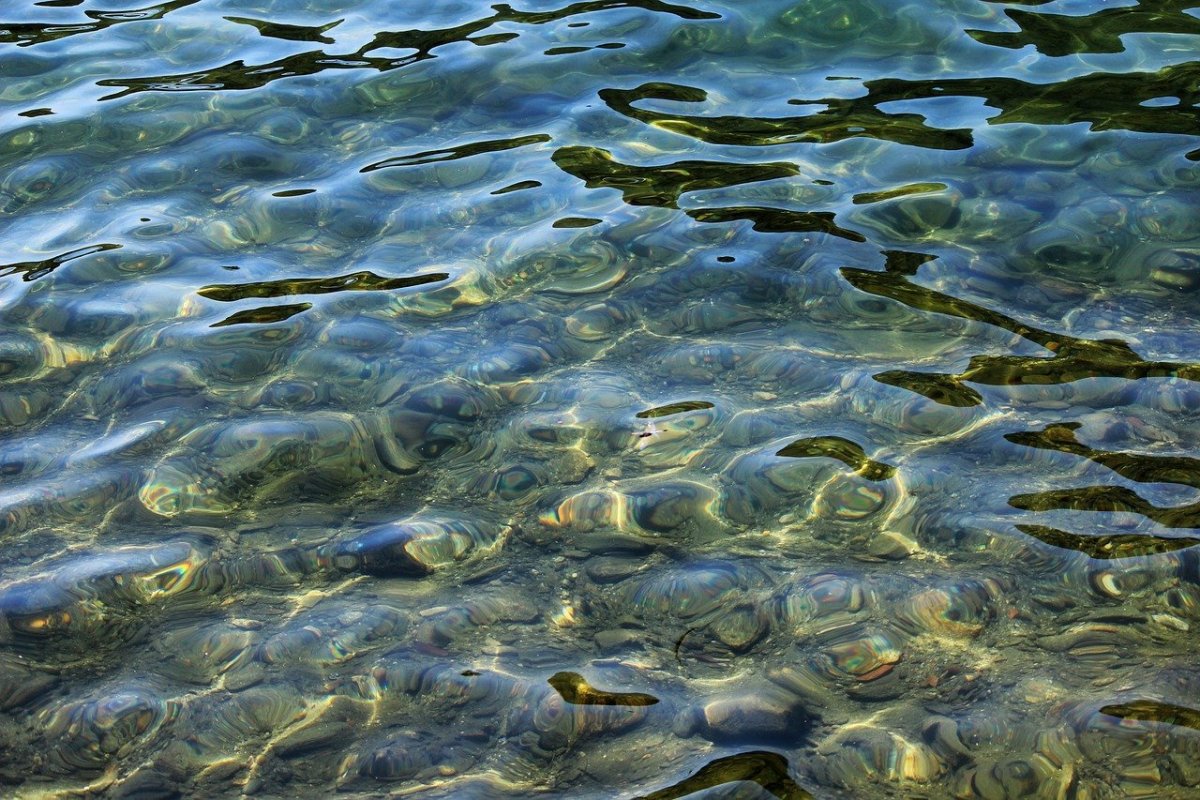 Водная поверхность