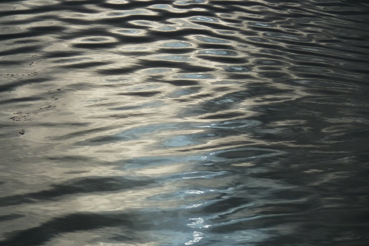 Цвет воды в реке