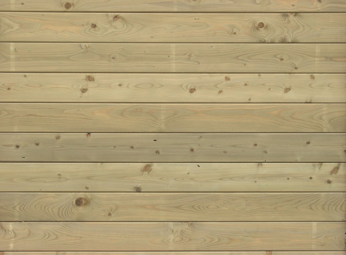 Текстура дерева