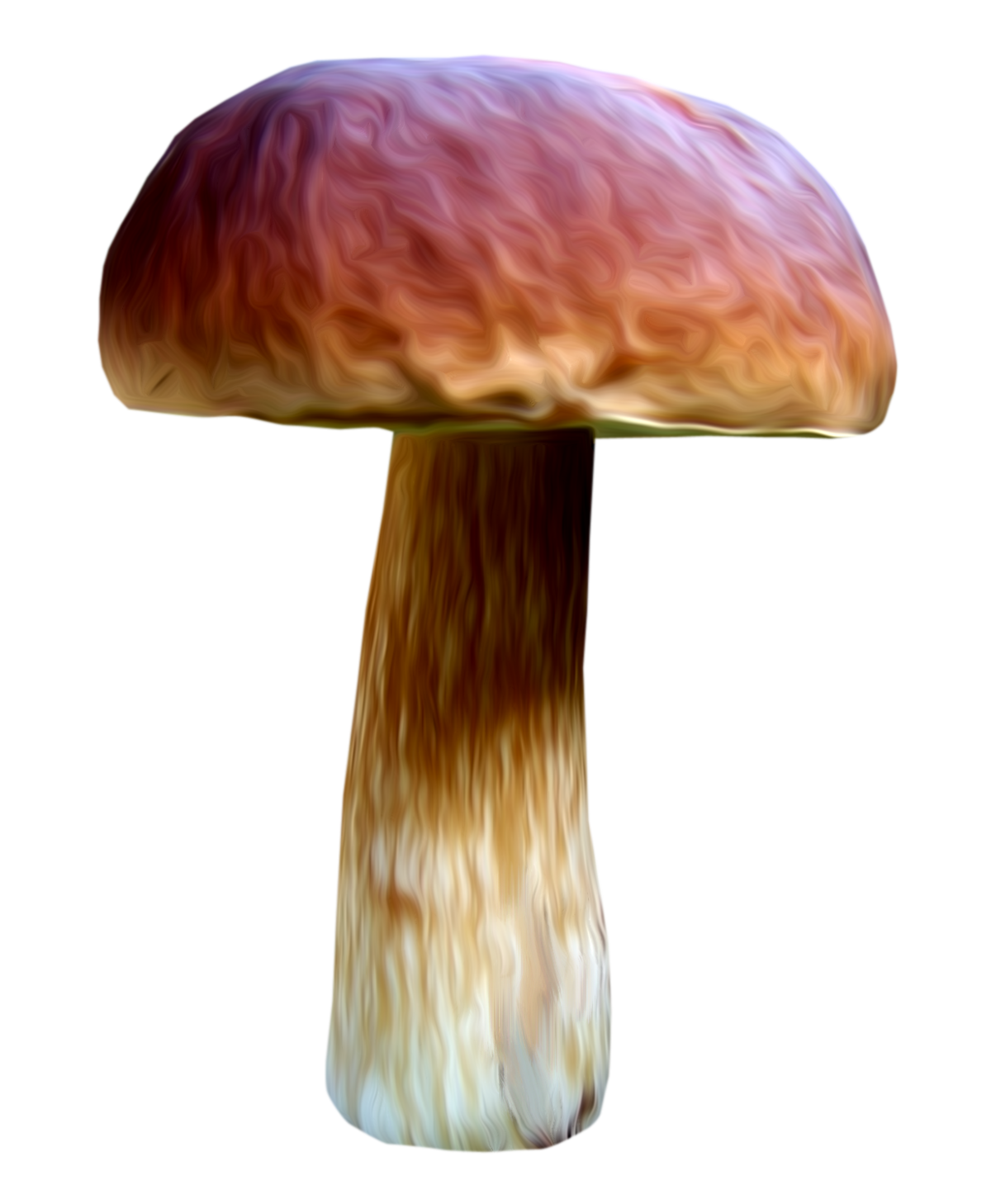 Шампиньон плотноножковый