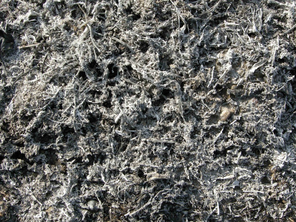 Пепел на темном фоне