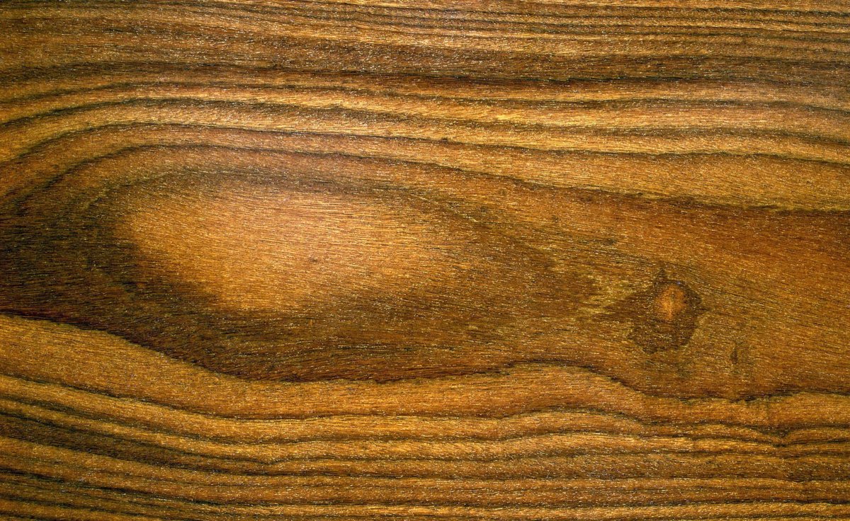 Текстура древесины