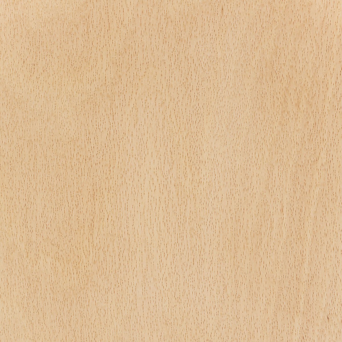 Бук цвет древесины натуральный