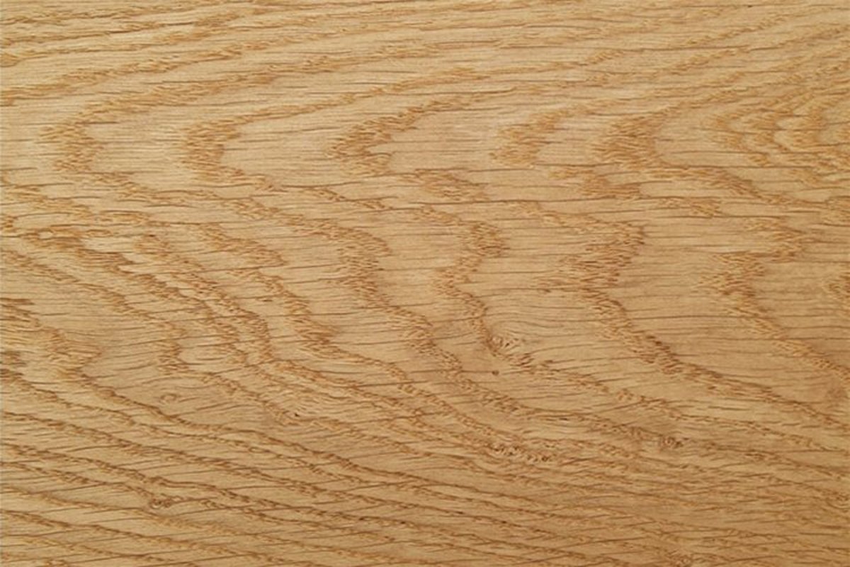 Клен структура древесины