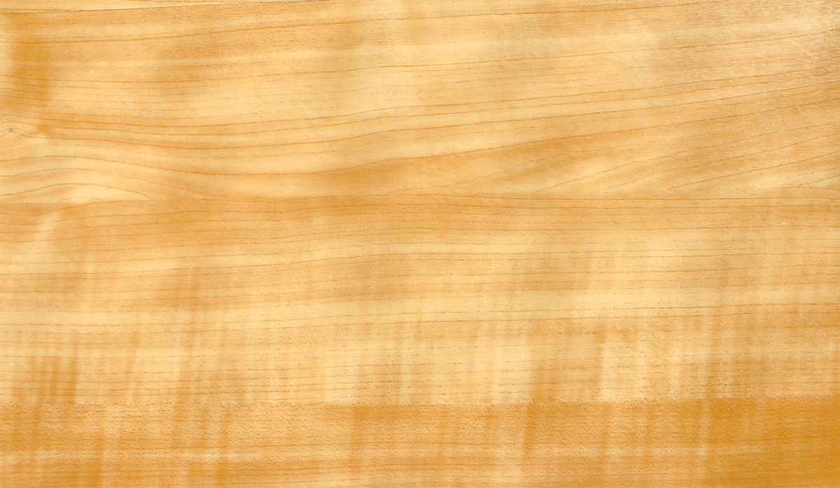 Текстура дерева