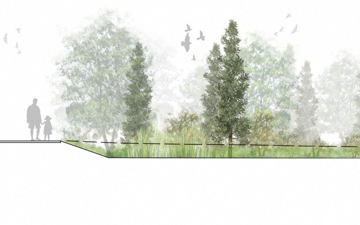 Деревья для архитектурной подачи