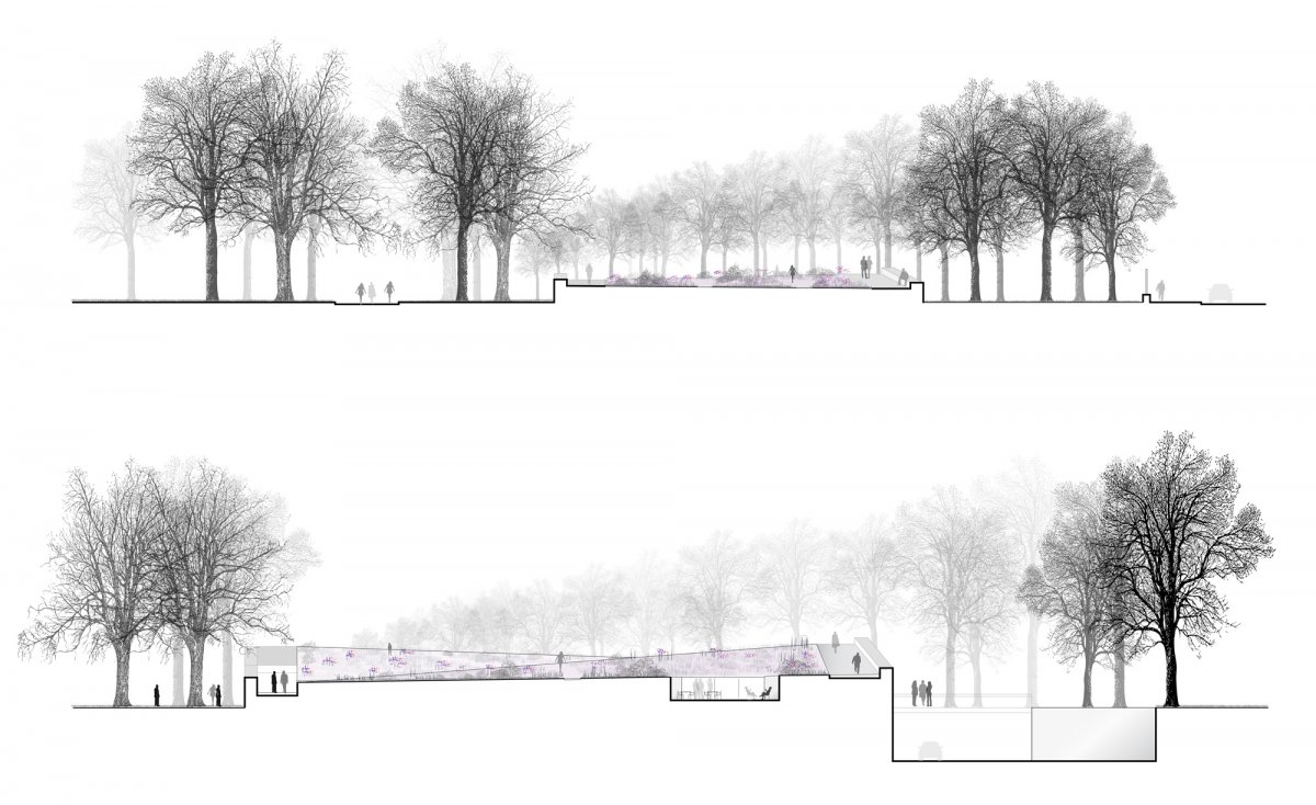 Фон для архитектурного проекта деревья