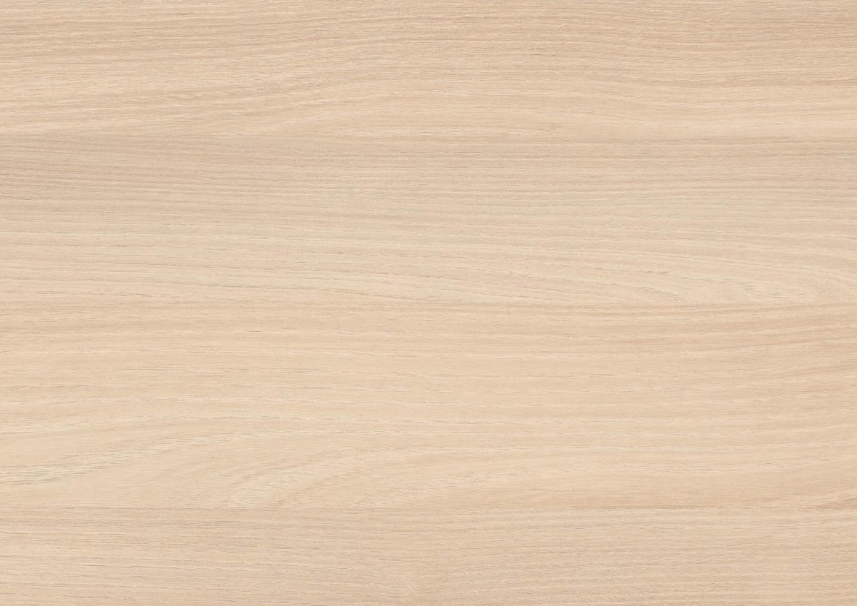 H1277 st9 Акация лэйклэнд светлая