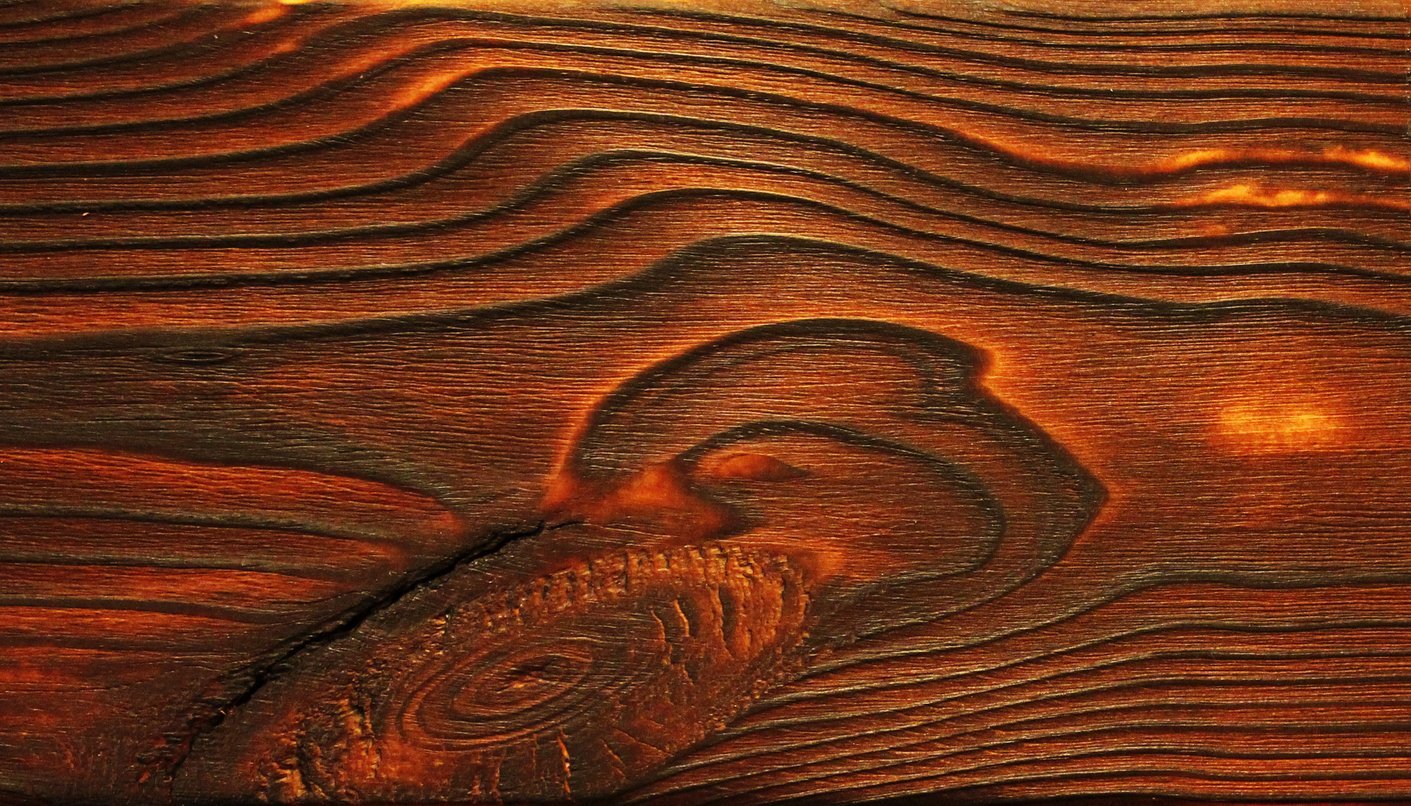 Рельеф дерева текстура - 57 фото