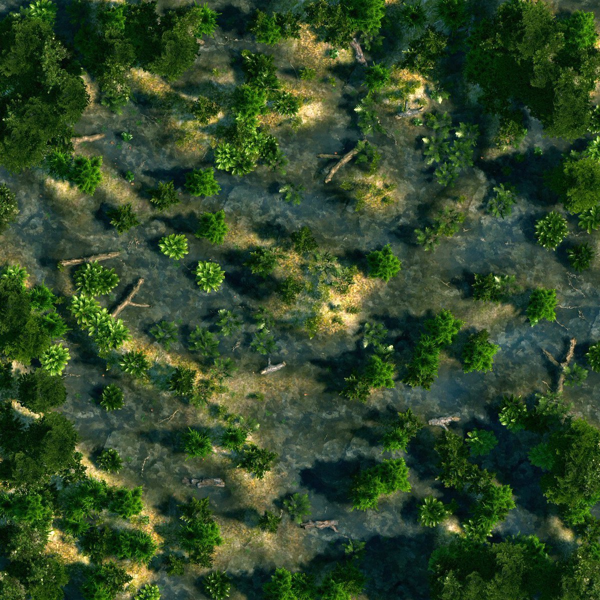 Swamp Battle Map
