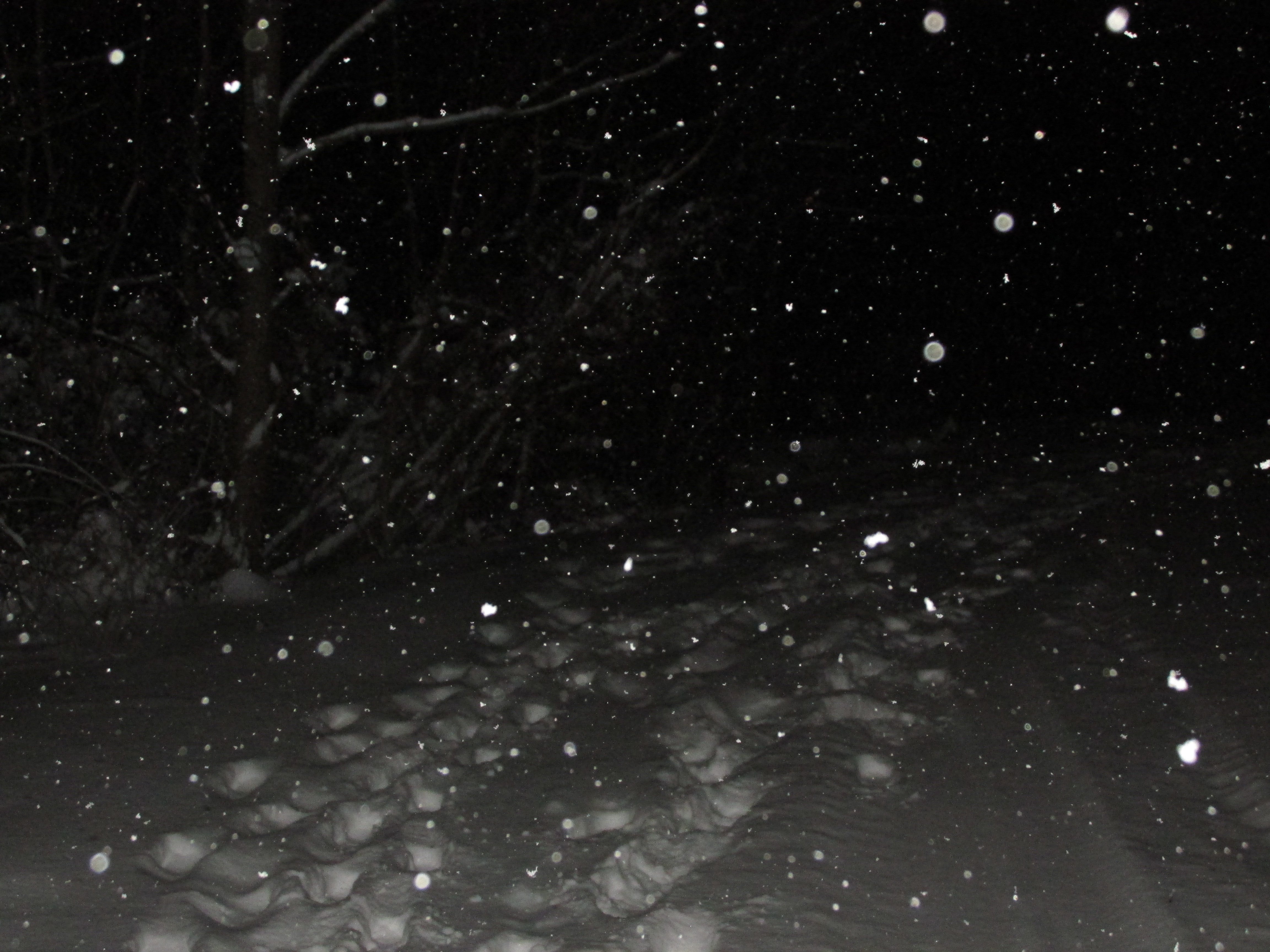 Черные снежки. Снег ночью. Снег текстура. Падающий снег. Снегопад на черном фоне.