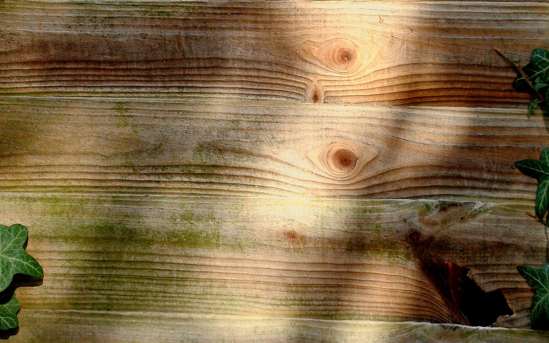 Текстура дерева длинная - 54 фото