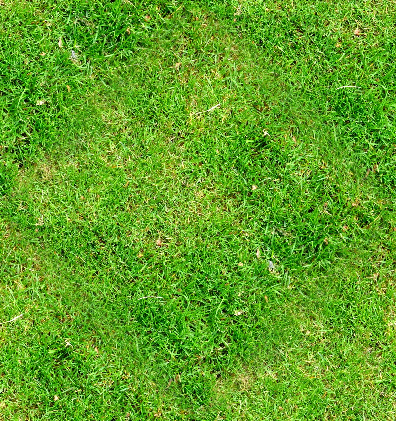 Текстура земли с травой бесшовная - 63 фото