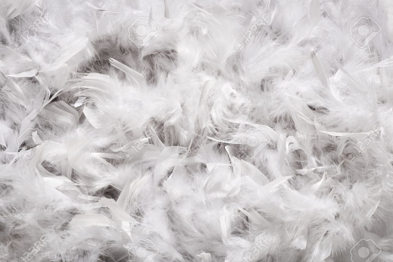 Мягкий и нежный пух. Много перьев. Пух и перья. Перо на белом фоне. Белые перья текстура.