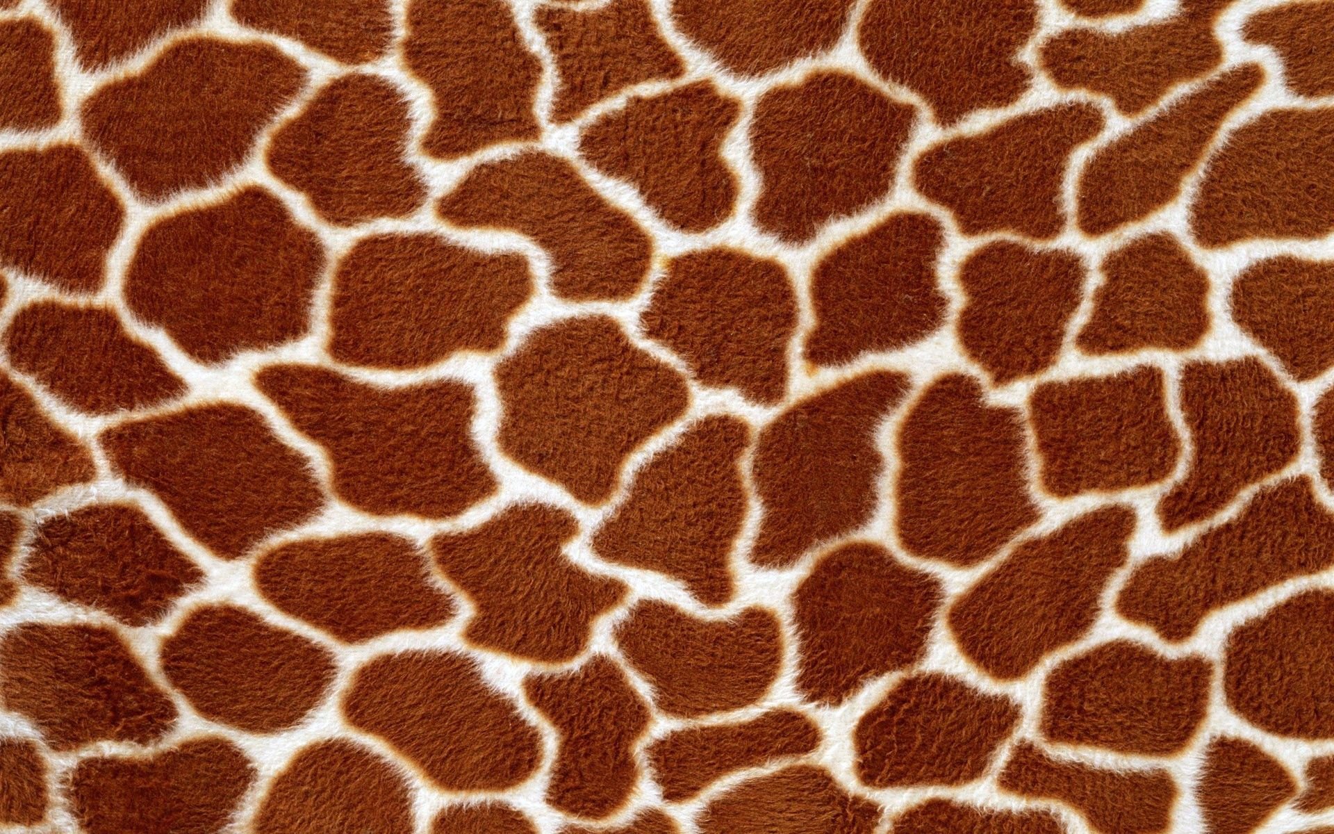 Animal pattern. Пятна жирафа. Кожа животных. Принты животных. Кожа жирафа.