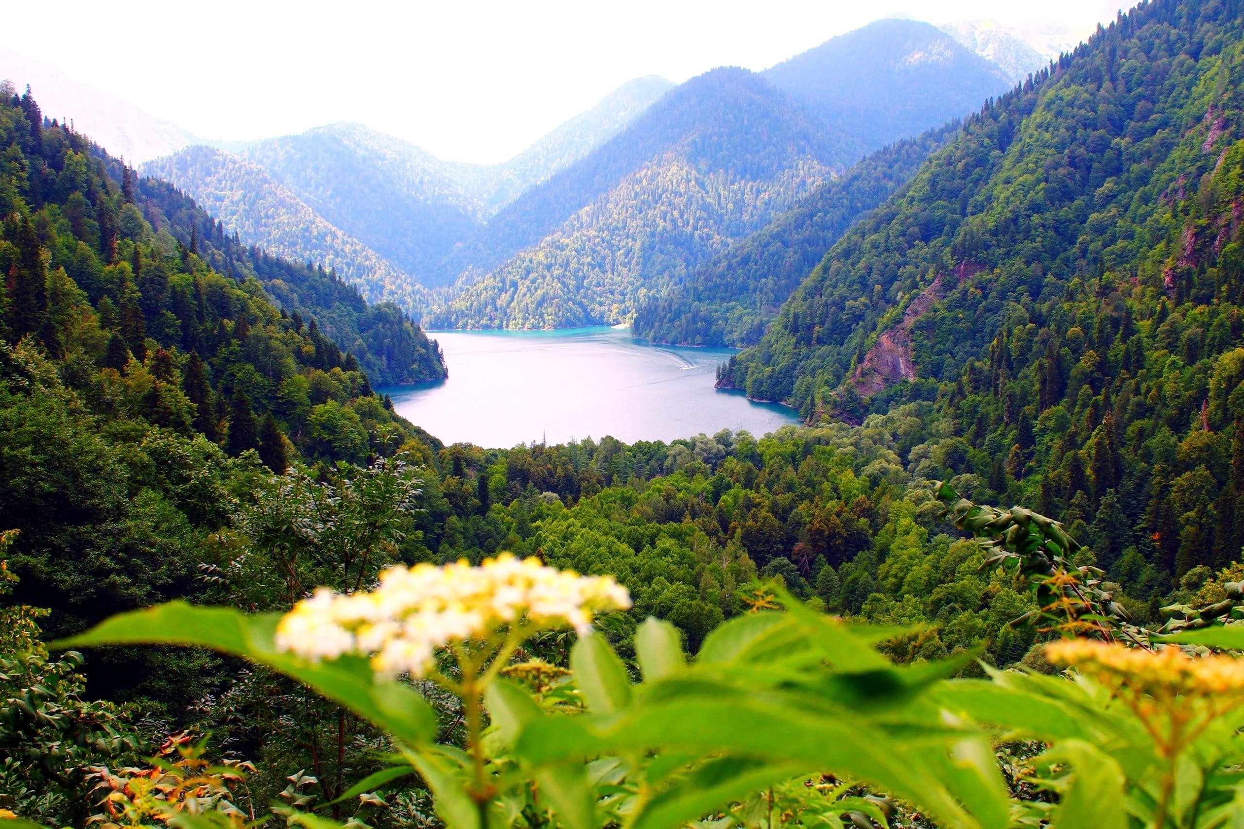 Озера нового афона. Абхазия Рица. Река Рица Абхазия. Горы Абхазии Рица. Абхазия Гагры озеро Рица.