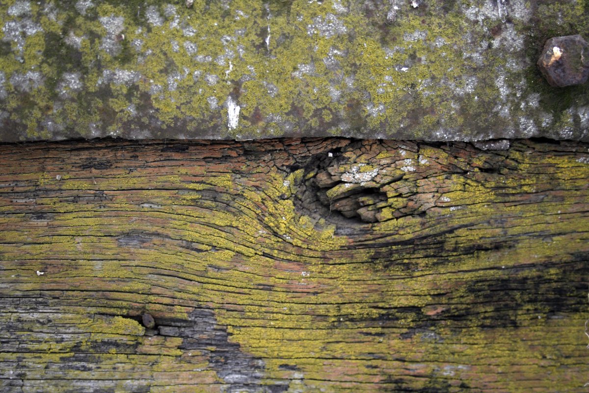 Структура дерева