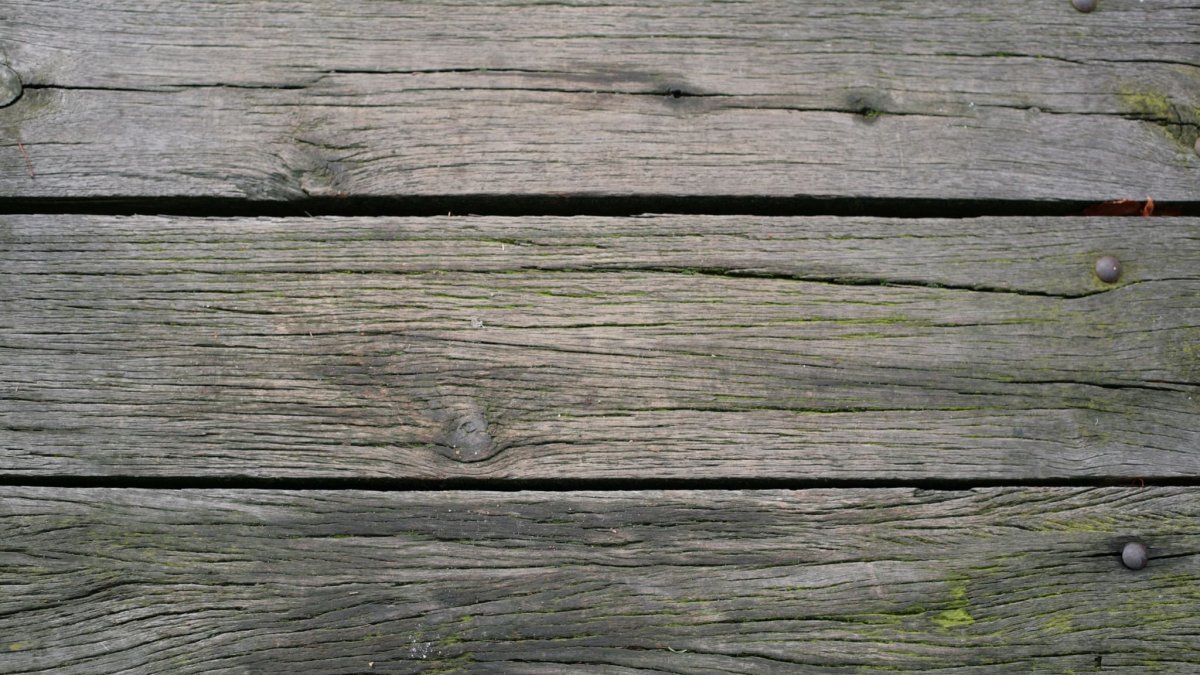 Текстура дерева бесшовная