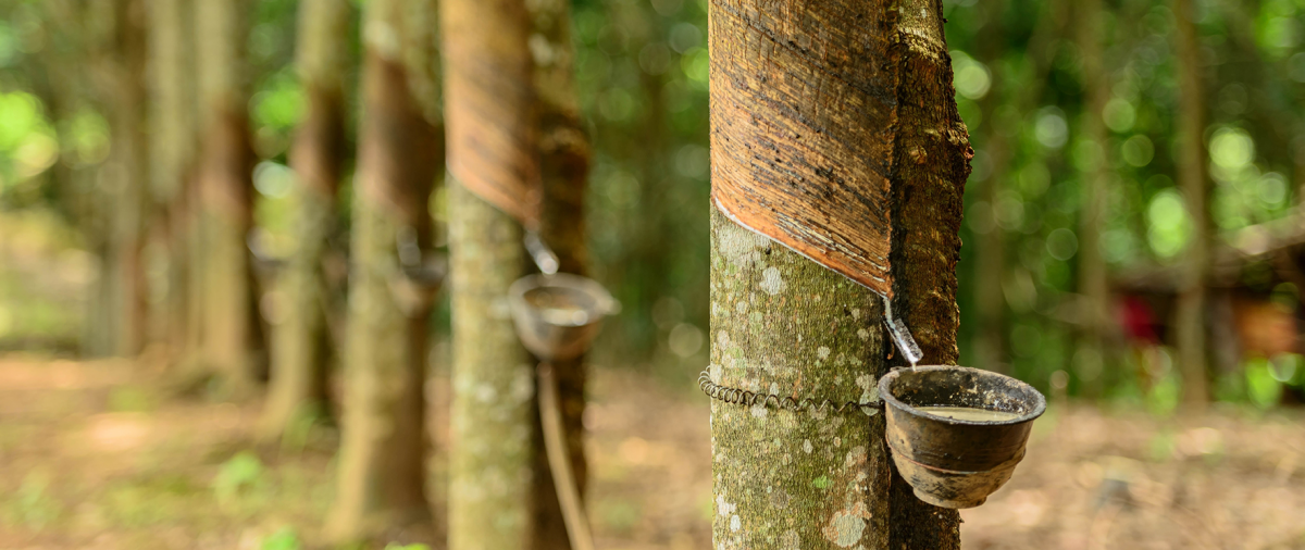 Противоскользящее резиновое рулонное покрытие Rubber Step