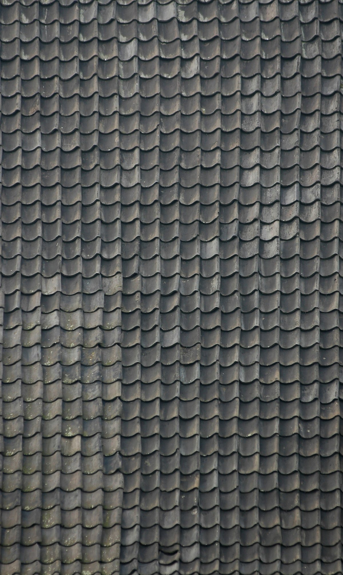 Металлочерепица зеленая текстура бесшовная