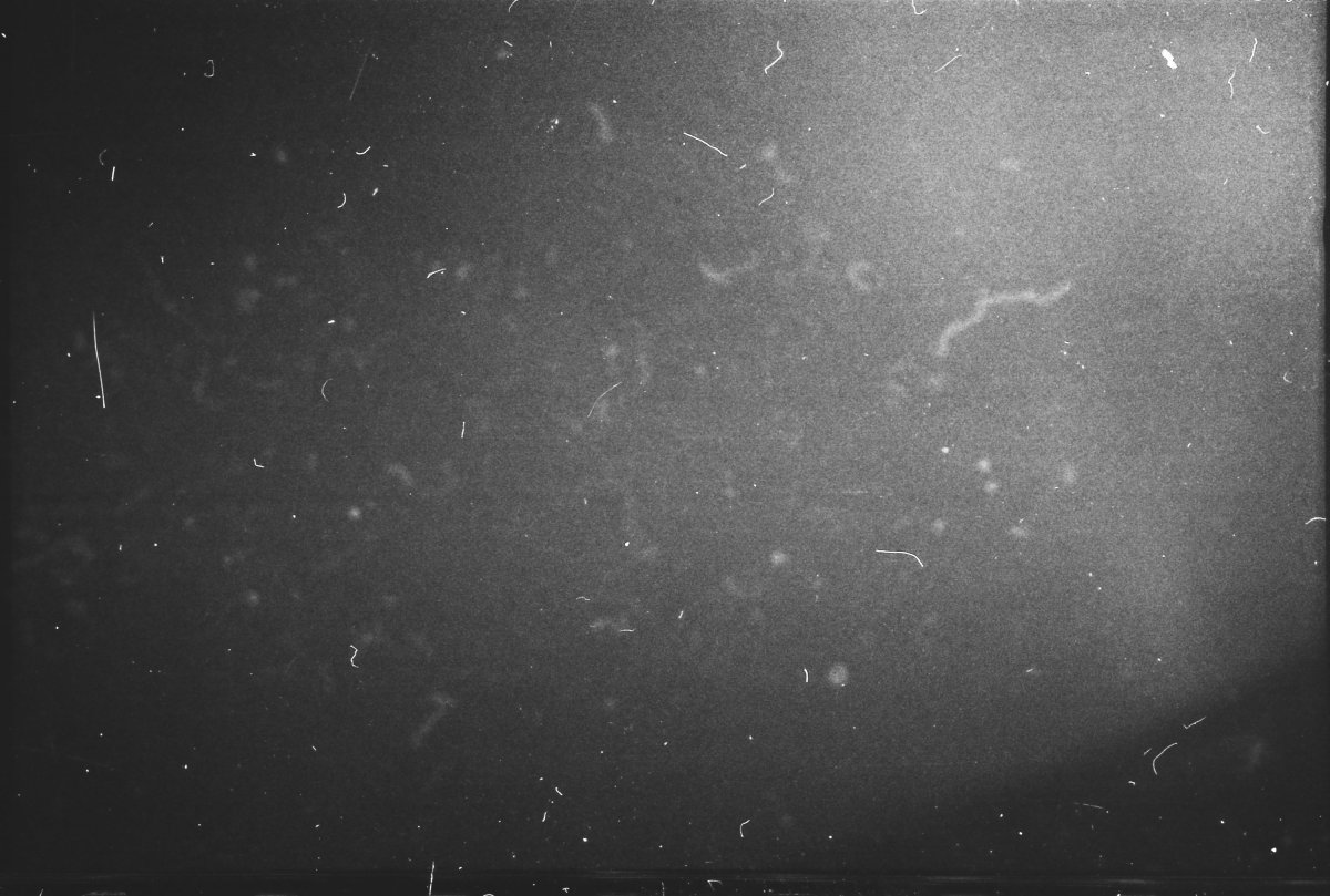 Эффект пленки