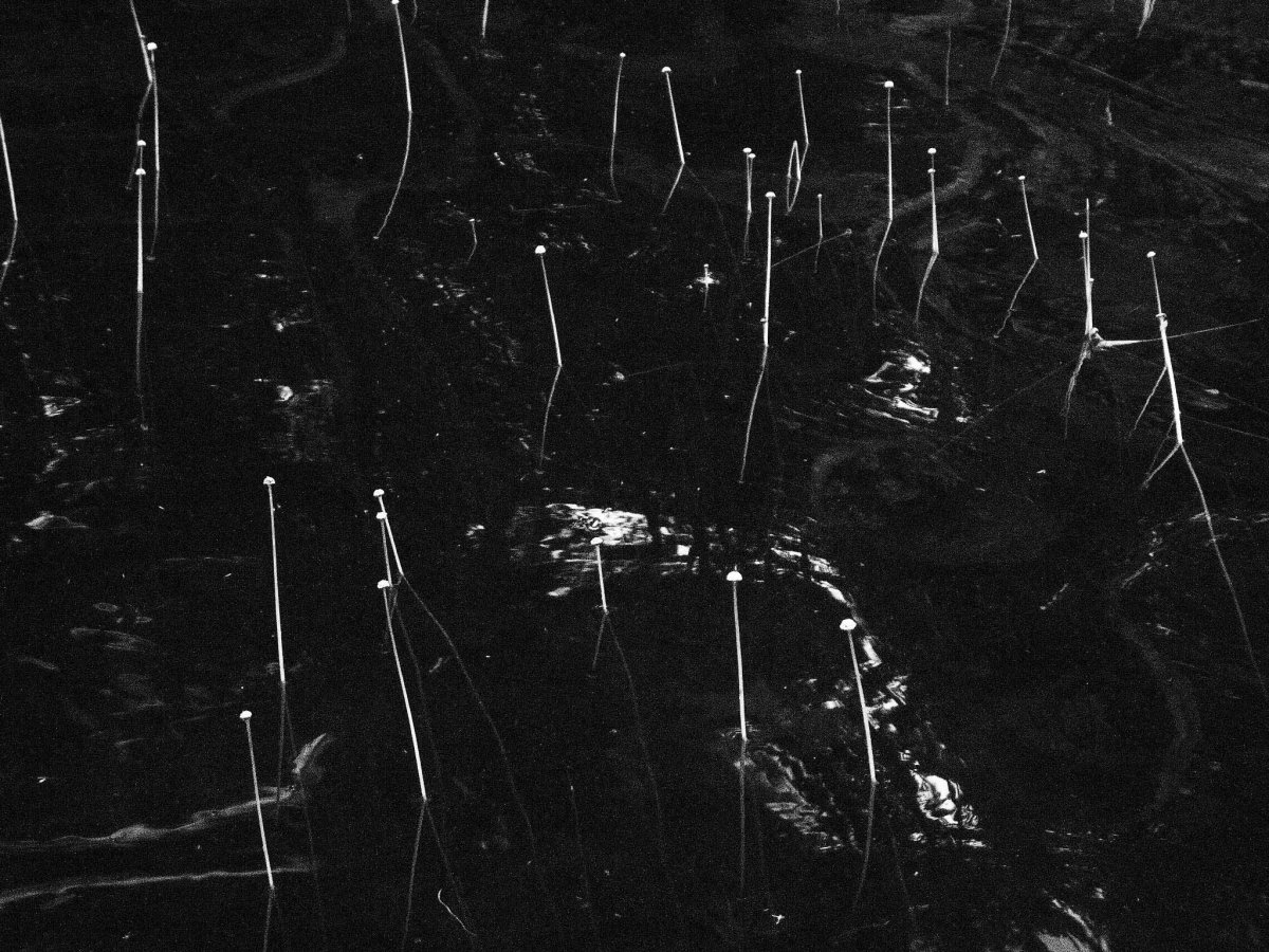 Эффект пленки текстура