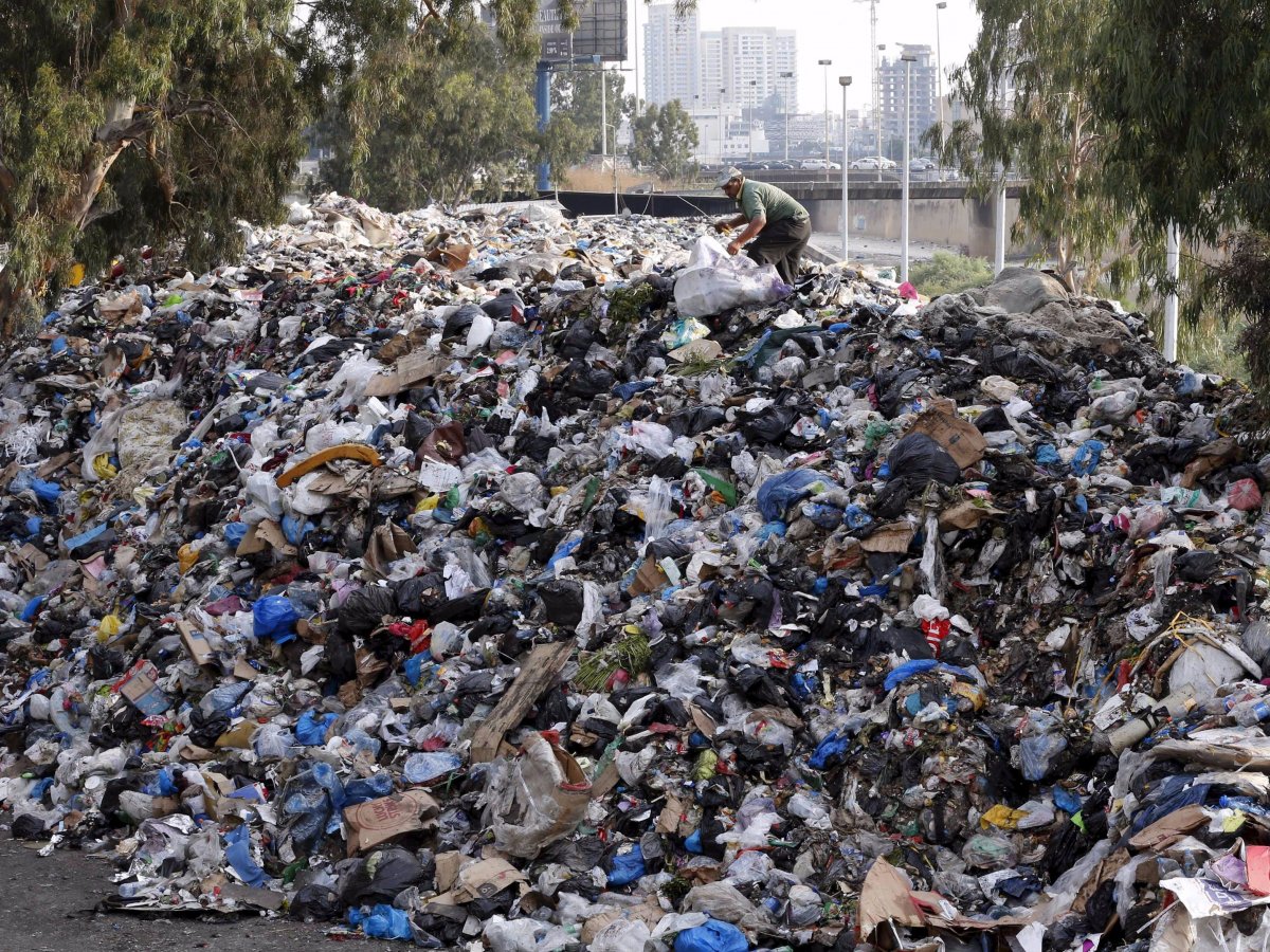 Экология мусор