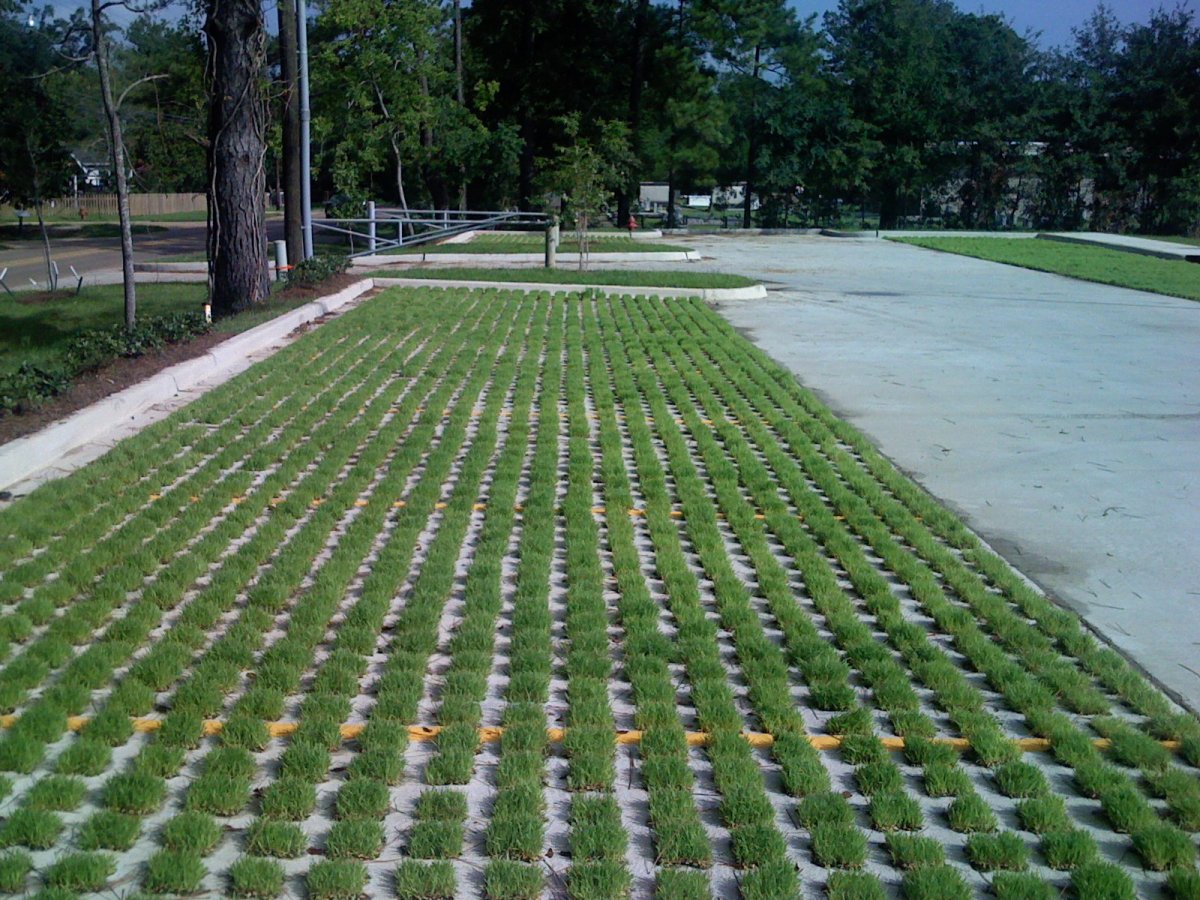 Газонный паркет