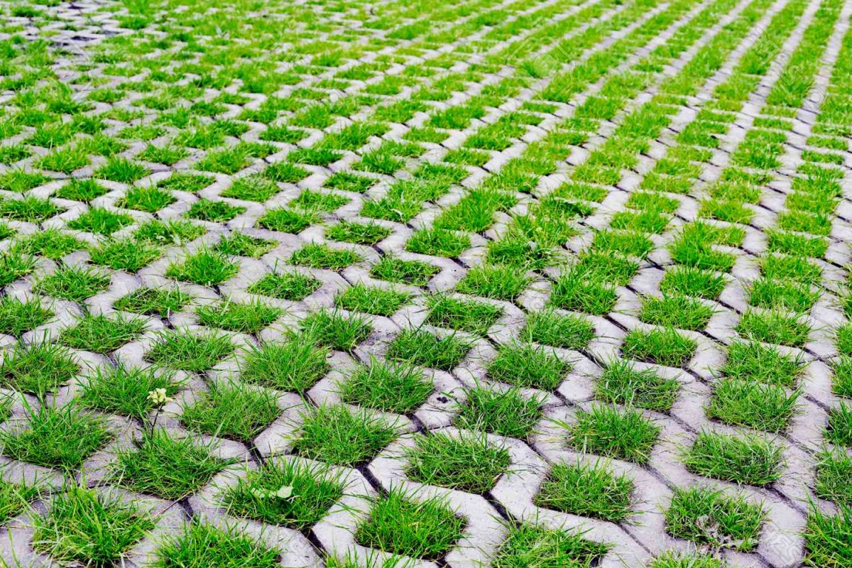 Экопарковка газонная решетка текстура