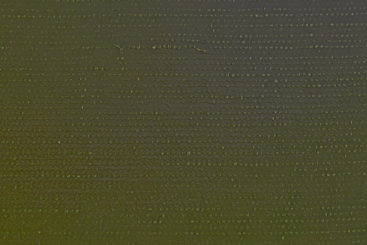 Канвас холст Грин