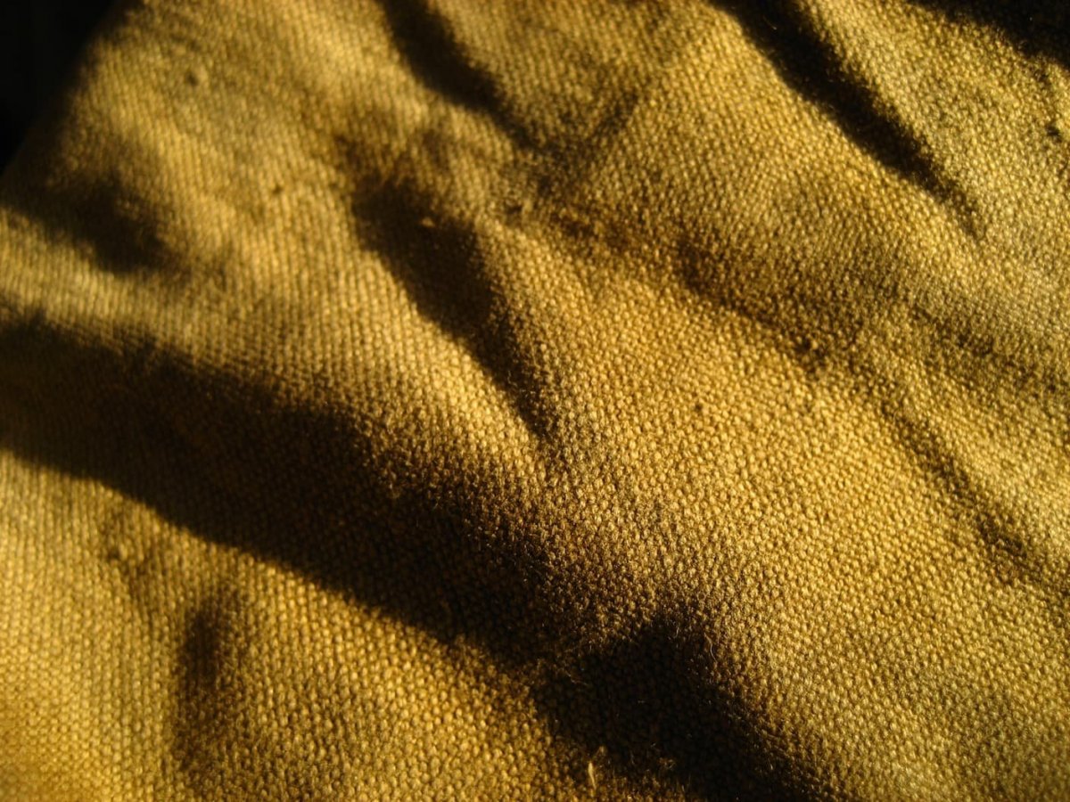 Вельвет болотный